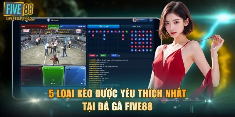 5 loại kèo được yêu thích nhất tại đá gà FIVE88