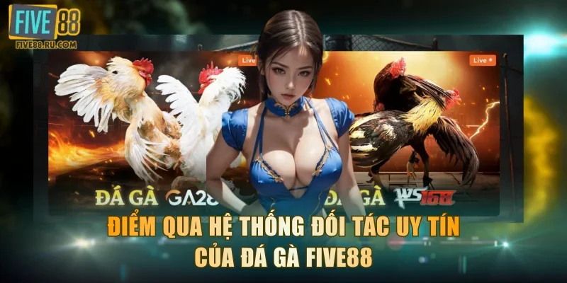 Điểm qua hệ thống đối tác uy tín của đá gà FIVE88